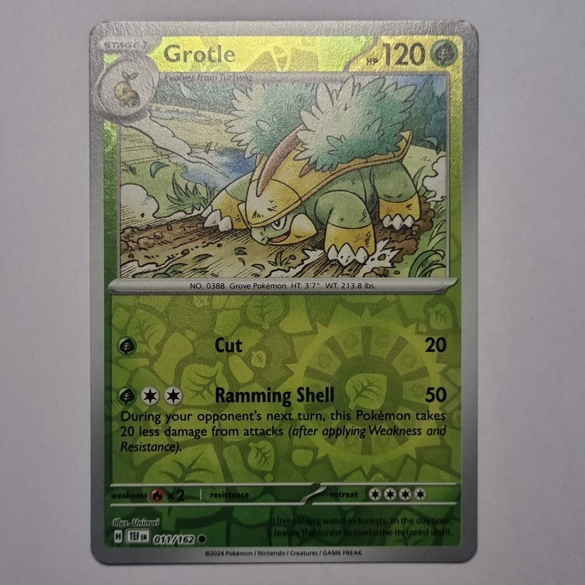 Pokemon TCG - Temporal Forces - #011 - Grotle - Reverse Holo - Common Funporium Pokemon TCG - Temporal Forces - #011 - Grotle - Reverse Holo - Common Funporium