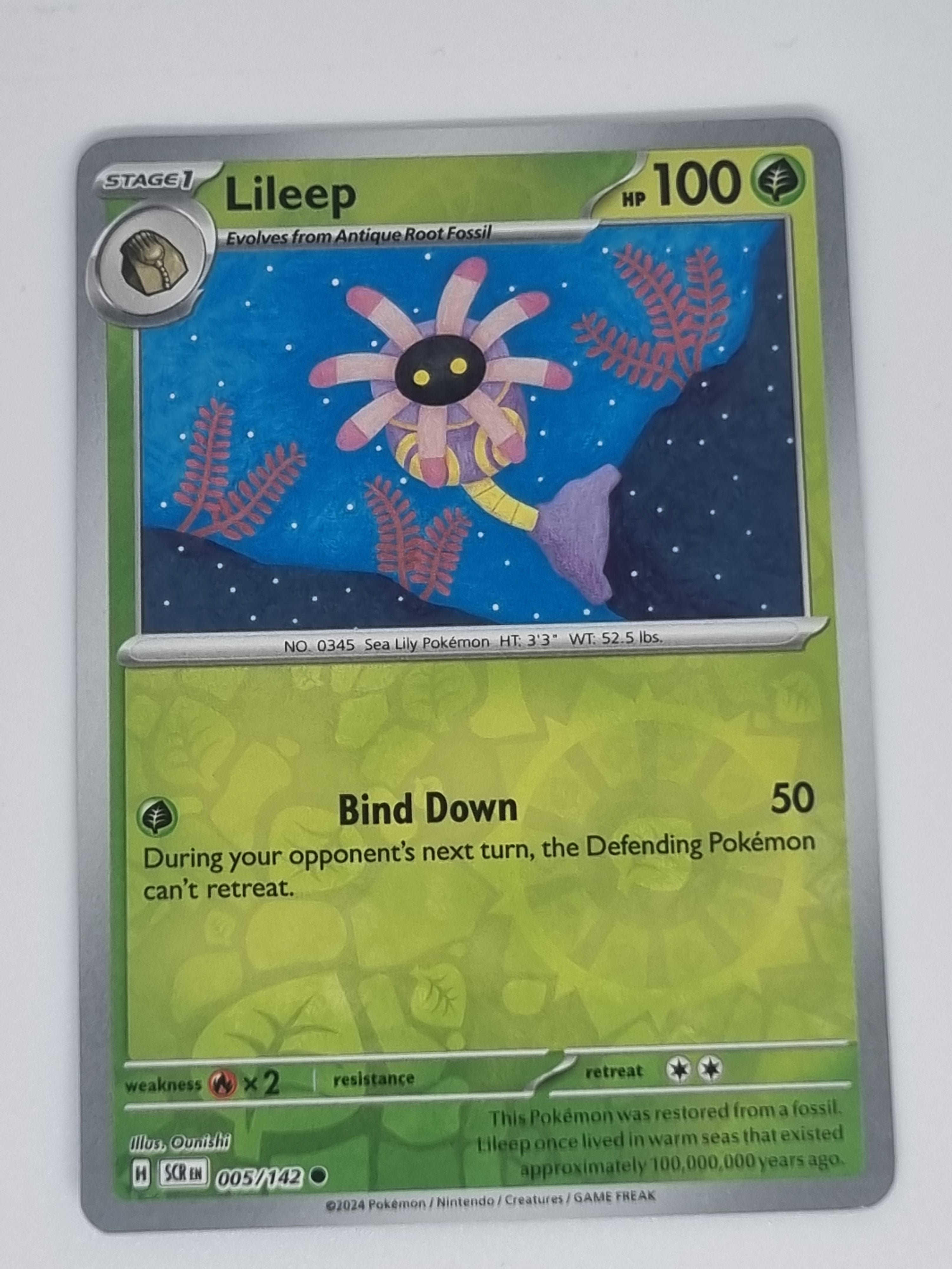 Pokemon TCG - Stellar Crown - #005/142 - Lileep - Common - Reverse Hol   Funporium