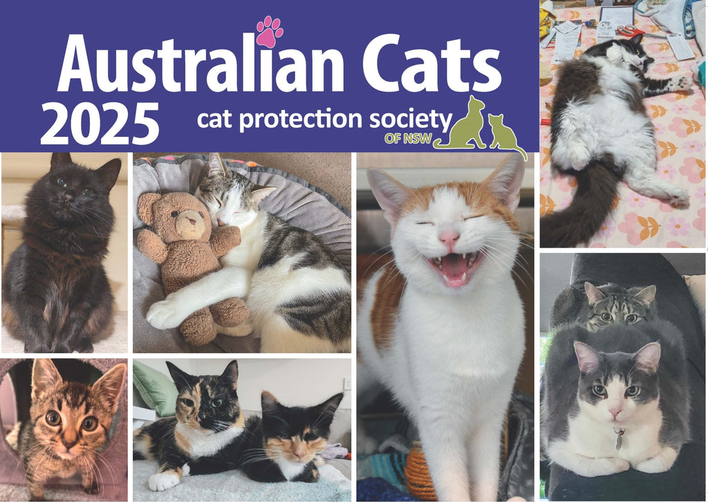 Australian Cats 2025 A4 Calendar.