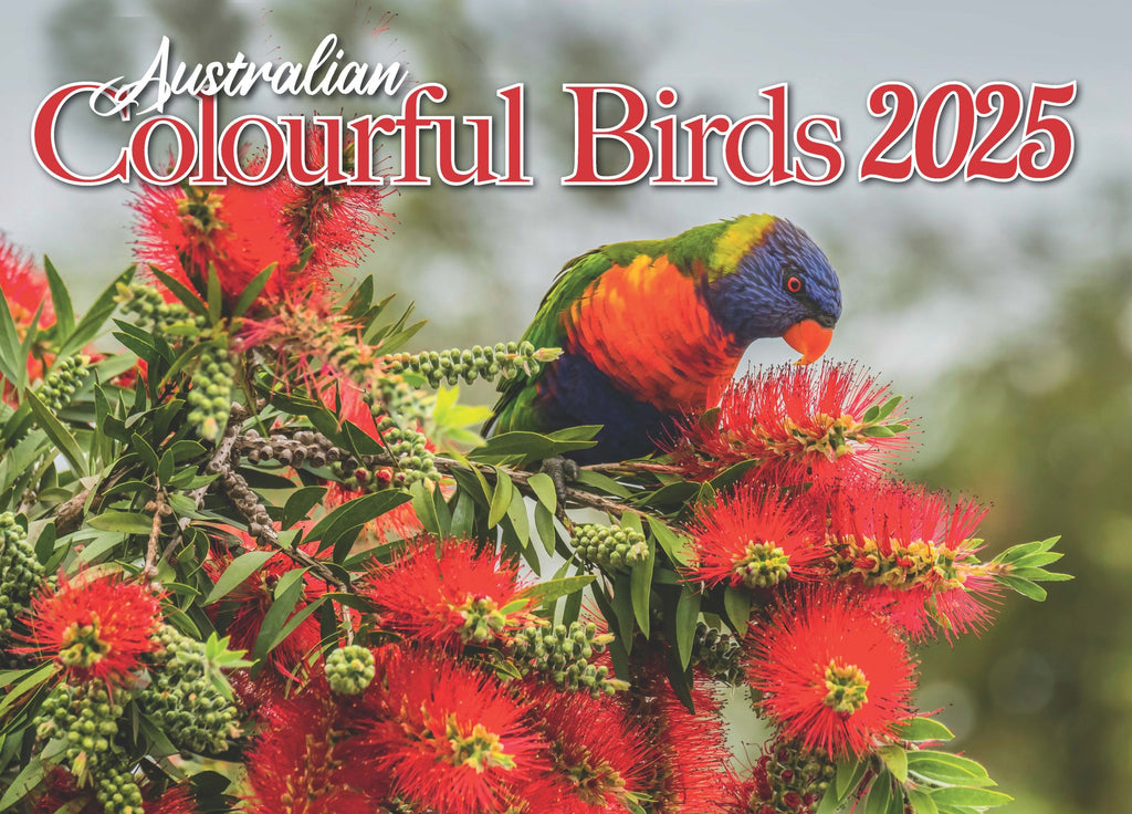 Australian Colourful Birds 2025 A4 Calendar.