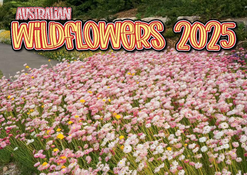 Australian Wildflowers 2025 A4 Calendar.