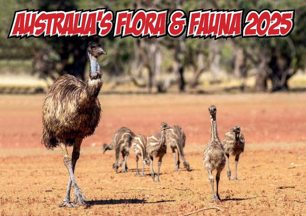 Australia's Flora & Faunca 2025 A4 Calendar.