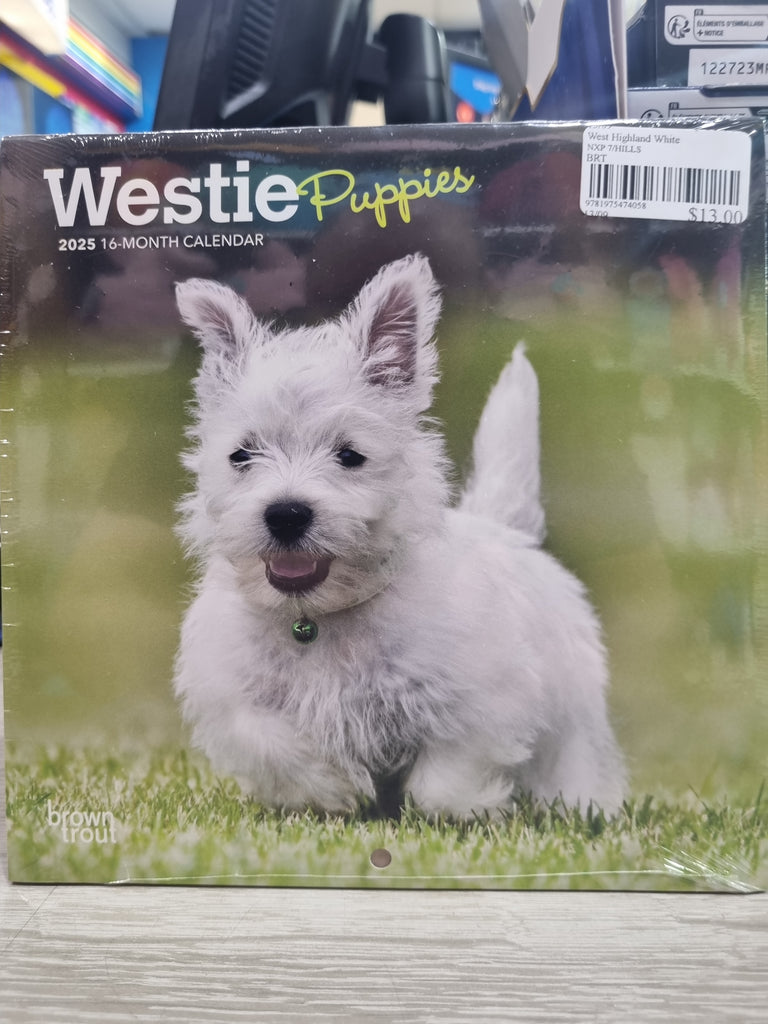 West Highland White Terrier Puppies - Mini 18x18cm - 2025 Calendar