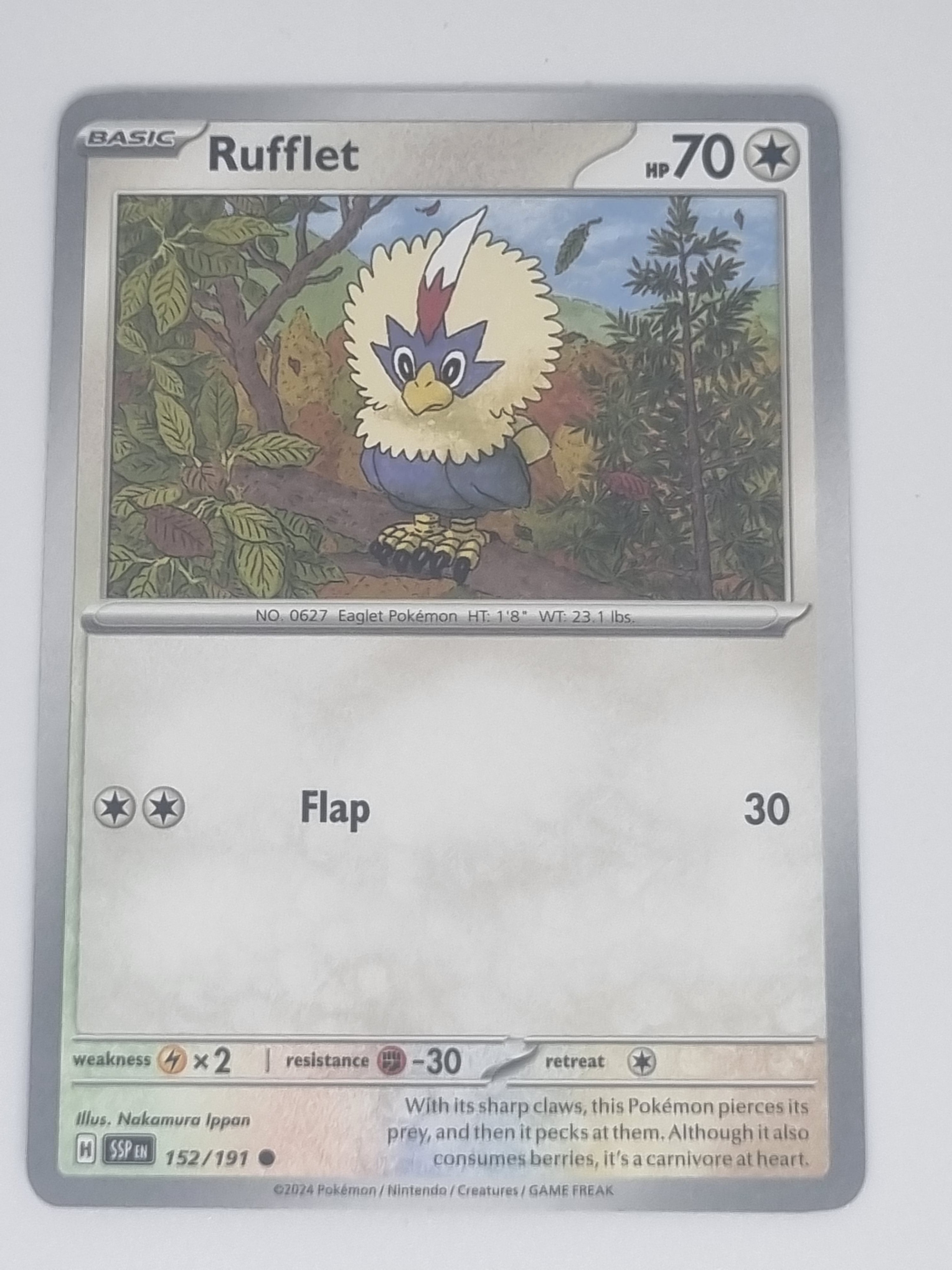 Pokemon TCG - Surging Sparks - #152/191 - Rufflet - Common Funporium Pokemon TCG - Surging Sparks - #152/191 - Rufflet - Common Funporium