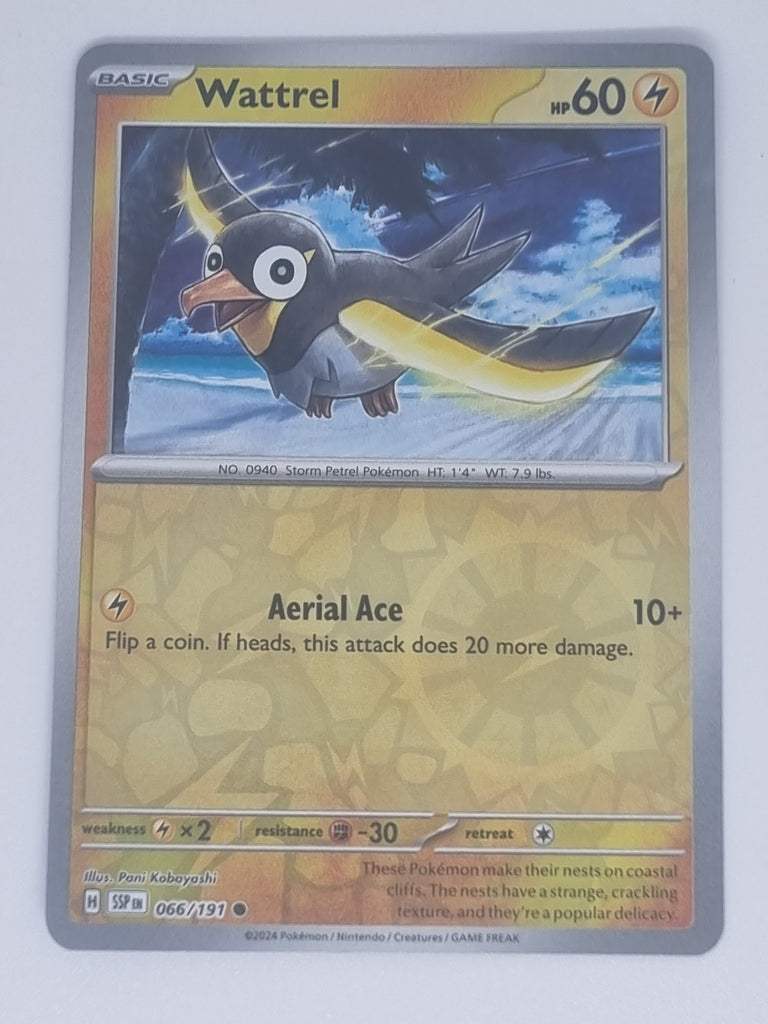 Pokemon TCG - Surging Sparks - #066/191 - Reverse Holo - Wattrel - Com Funporium Pokemon TCG - Surging Sparks - #066/191 - Reverse Holo - Wattrel - Com Funporium