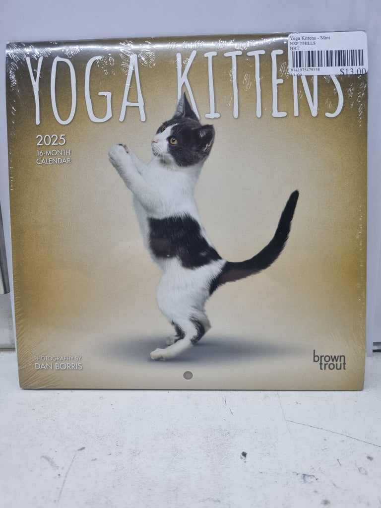 Yoga Kittens - Mini 18x18cm - 2025 Calendar