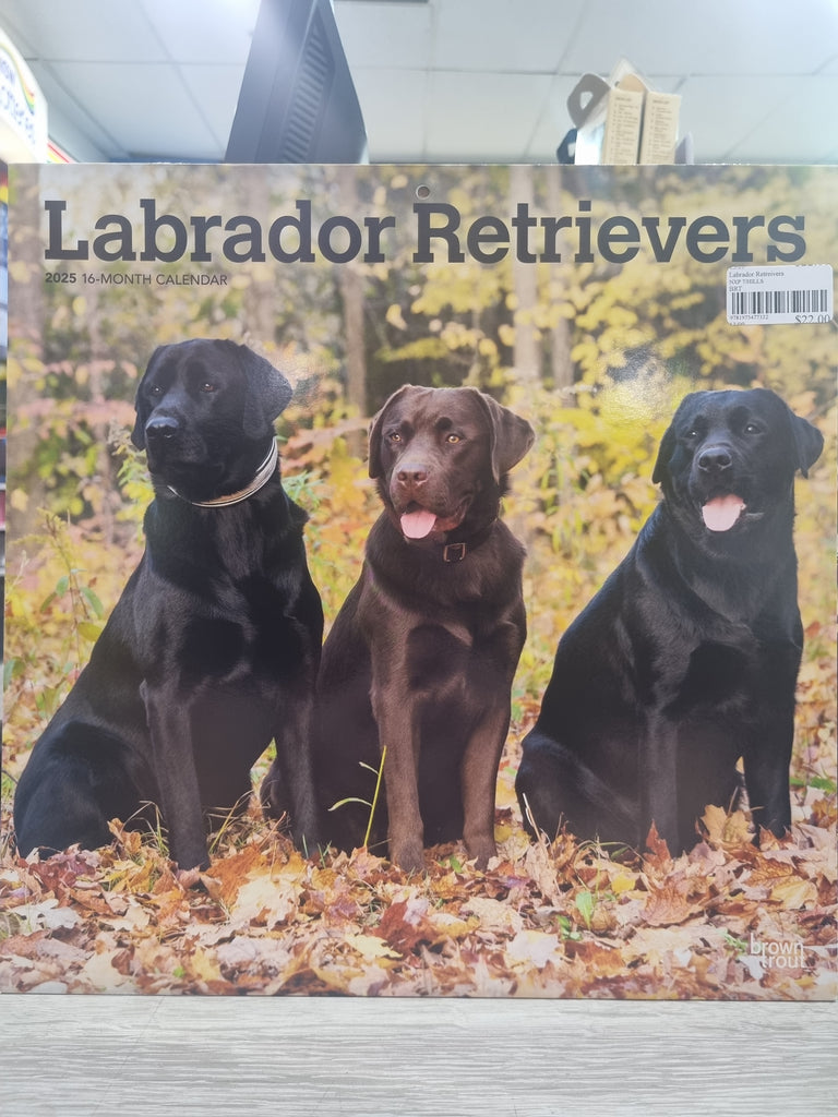 Labrador Retreivers - Large 30x30cm - 2025 Calendar