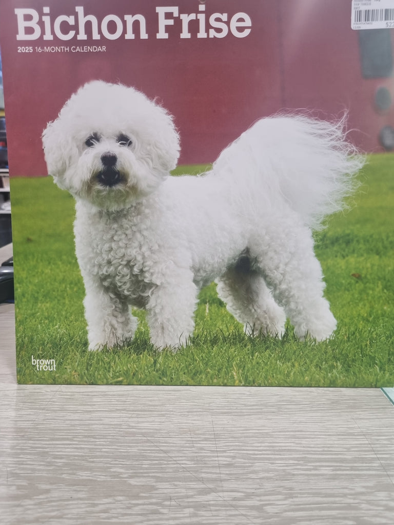 Bichon Frise - Large 30x30cm - 2025 Calendar