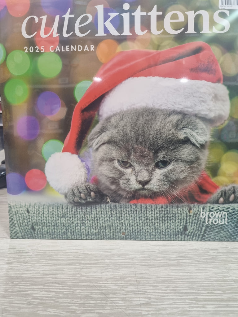 Cute Kittens - Large 30x30cm - 2025 Calendar