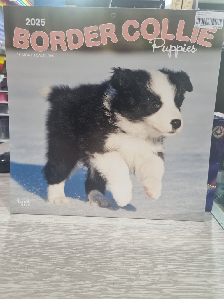 Border Collie Puppies - Large 30x30cm - 2025 Calendar