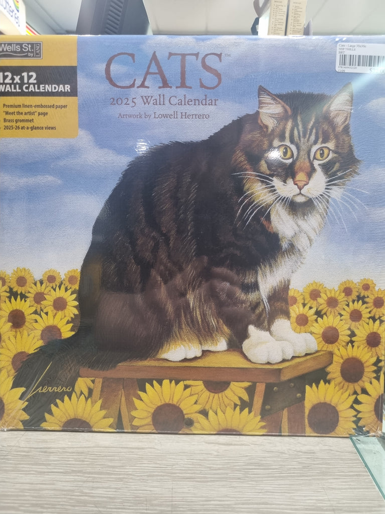 Cats - Large 30x30cm - 2025 Calendar