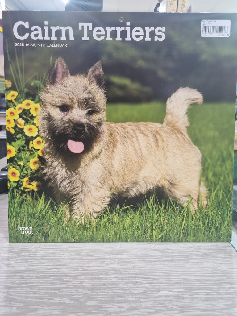 Cairn Terriers - Large 30x30cm - 2025 Calendar