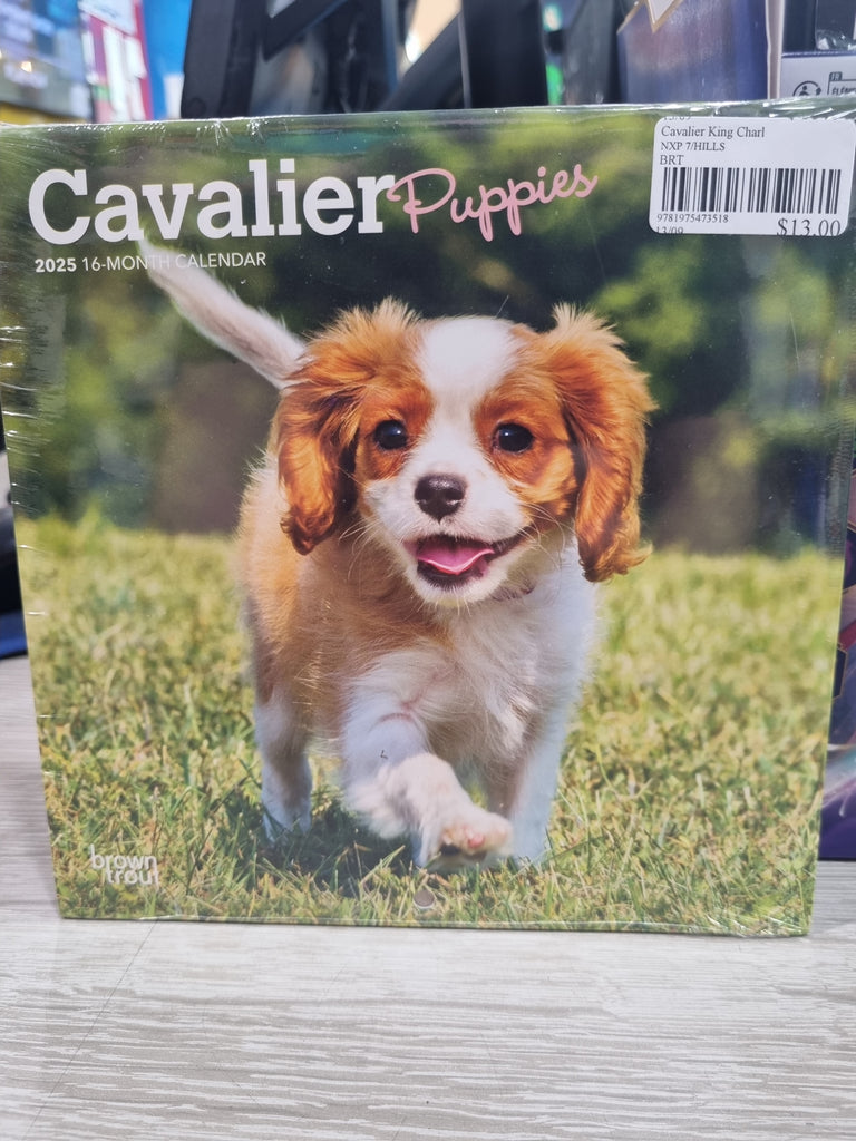 Cavalier King Charles Spaniel Puppies - Mini 18x18cm - 2025 Calendar