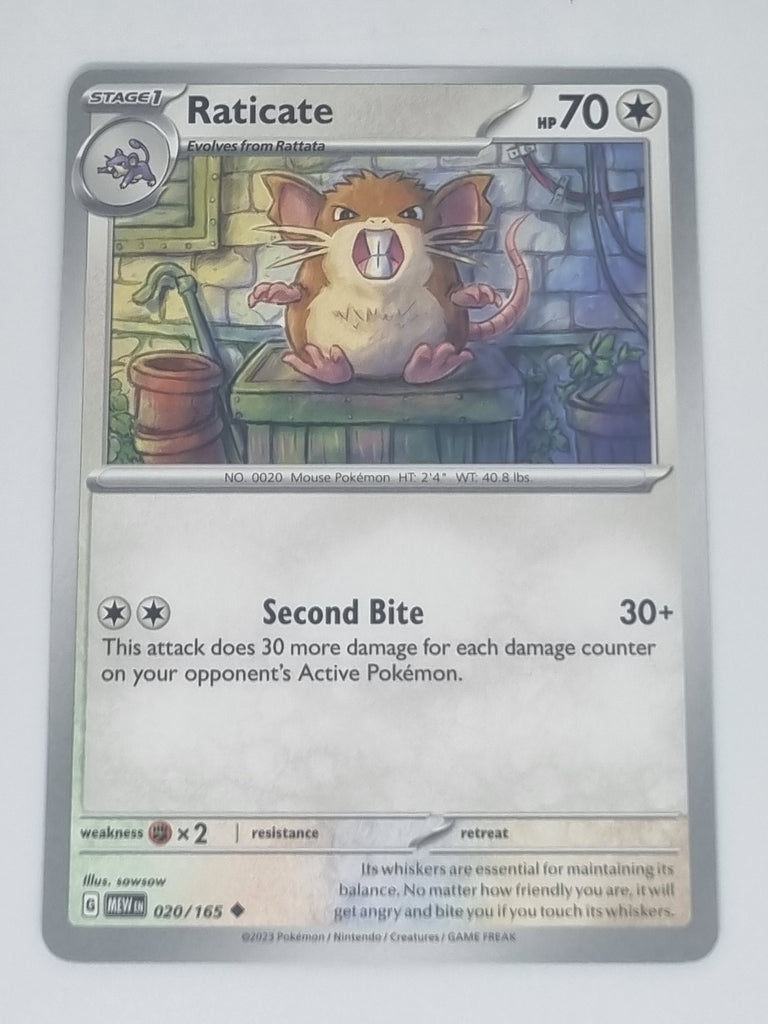 Pokemon TCG - Pokemon 151 - #020/165 - Raticate - Uncommon