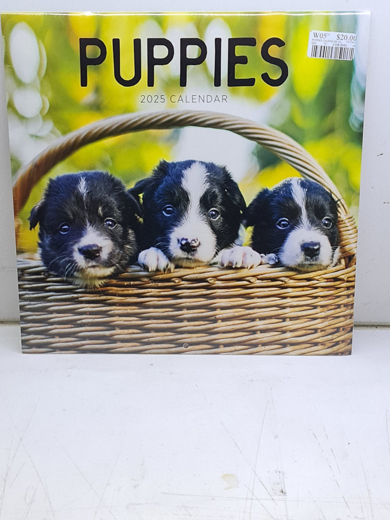 Puppies - Large 30x30cm - 2025 Calendar