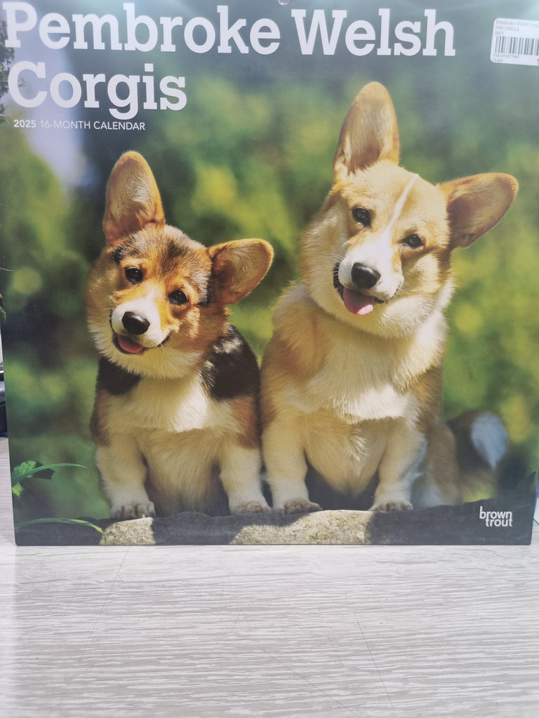 Pembroke Welsh Corgis - Large 30x30cm - 2025 Calendar