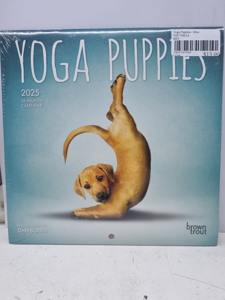 Yoga Puppies - Mini 18x18cm - 2025 Calendar