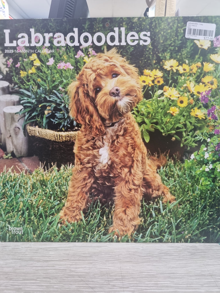 Labradoodles - Large 30x30cm - 2025 Calendar