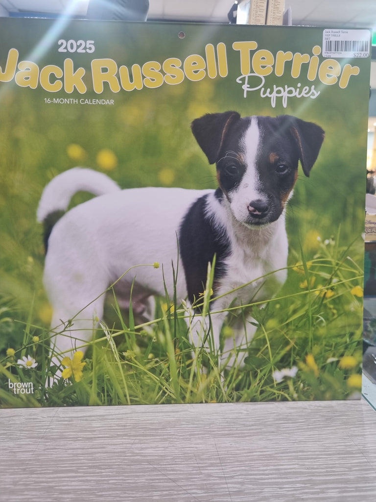 Jack Russell Terrier Puppies - Large 30x30cm - 2025 Calendar