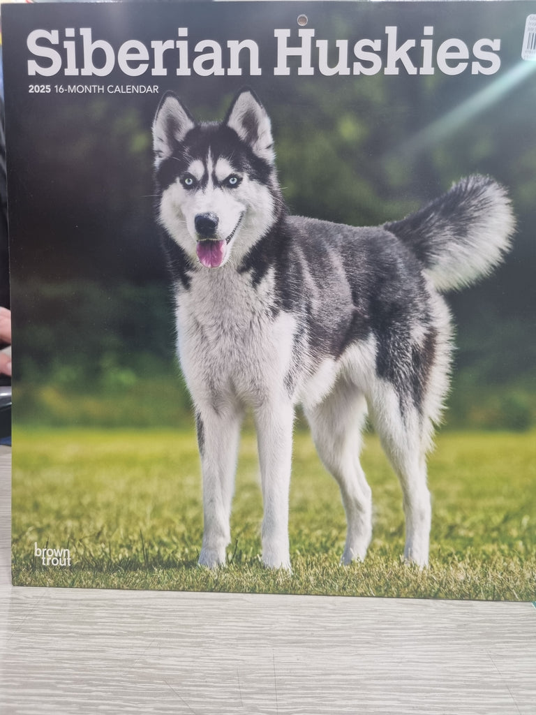 Siberian Huskies - Large 30x30cm - 2025 Calendar