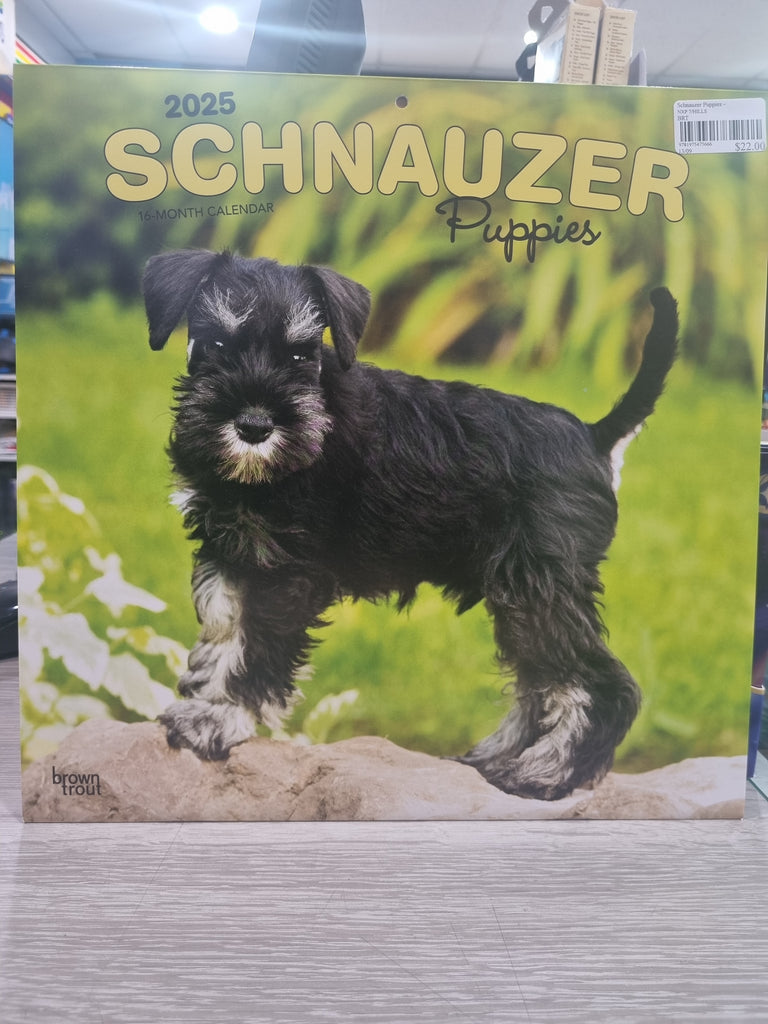 Schnauzer Puppies - Large 30x30cm - 2025 Calendar