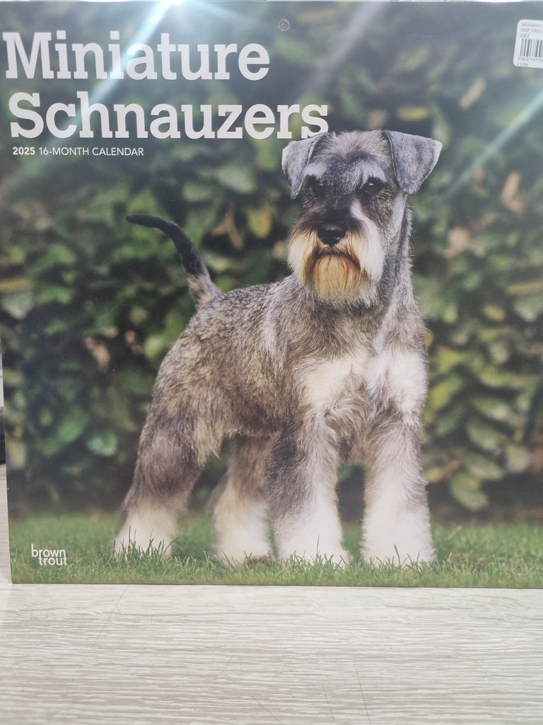 Miniature Schnauzers - Large 30x30cm - 2025 Calendar