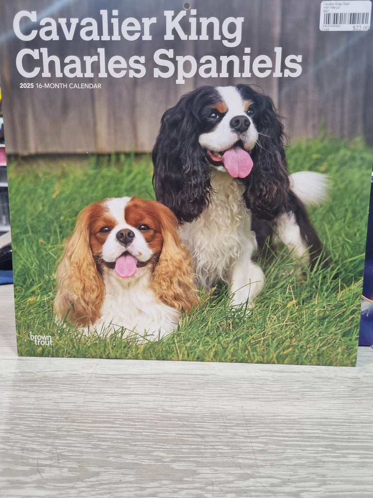 Cavalier King Charles Spaniels - Large 30x30cm - 2025 Calendar