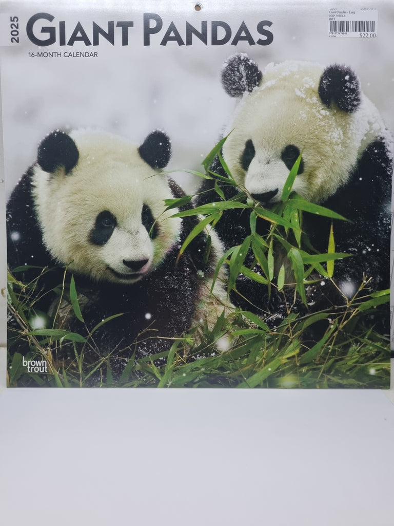 Giant Pandas - Large 30x30cm - 2025 Calendar