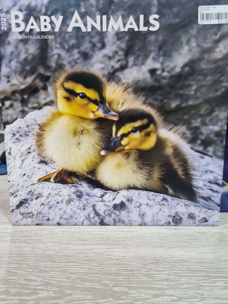 Baby Animals - Large 30x30cm - 2025 Calendar