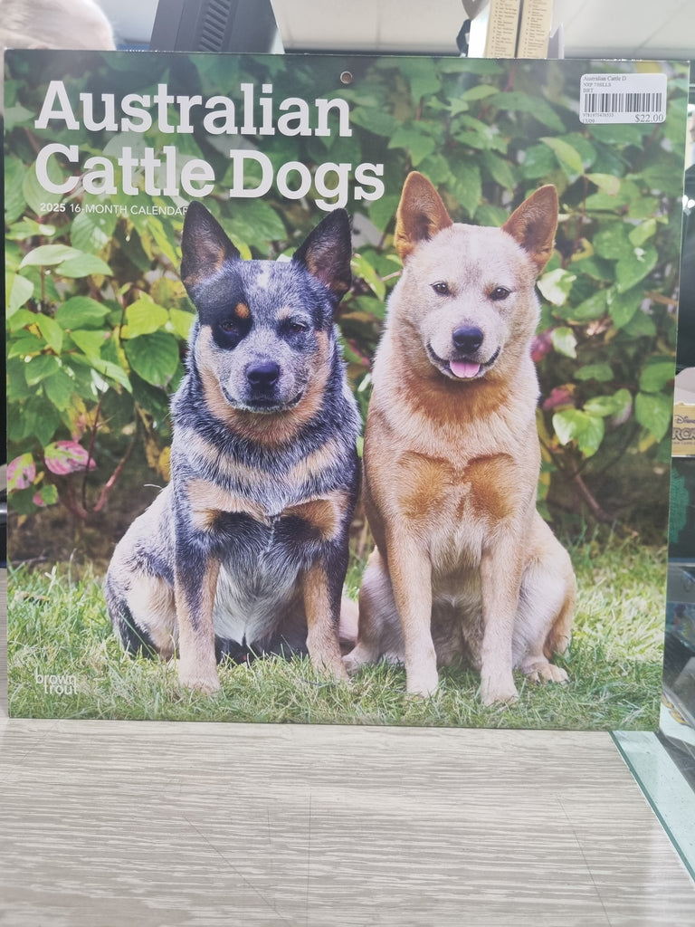 Australian Cattle Dogs - Large 30x30cm - 2025 Calendar