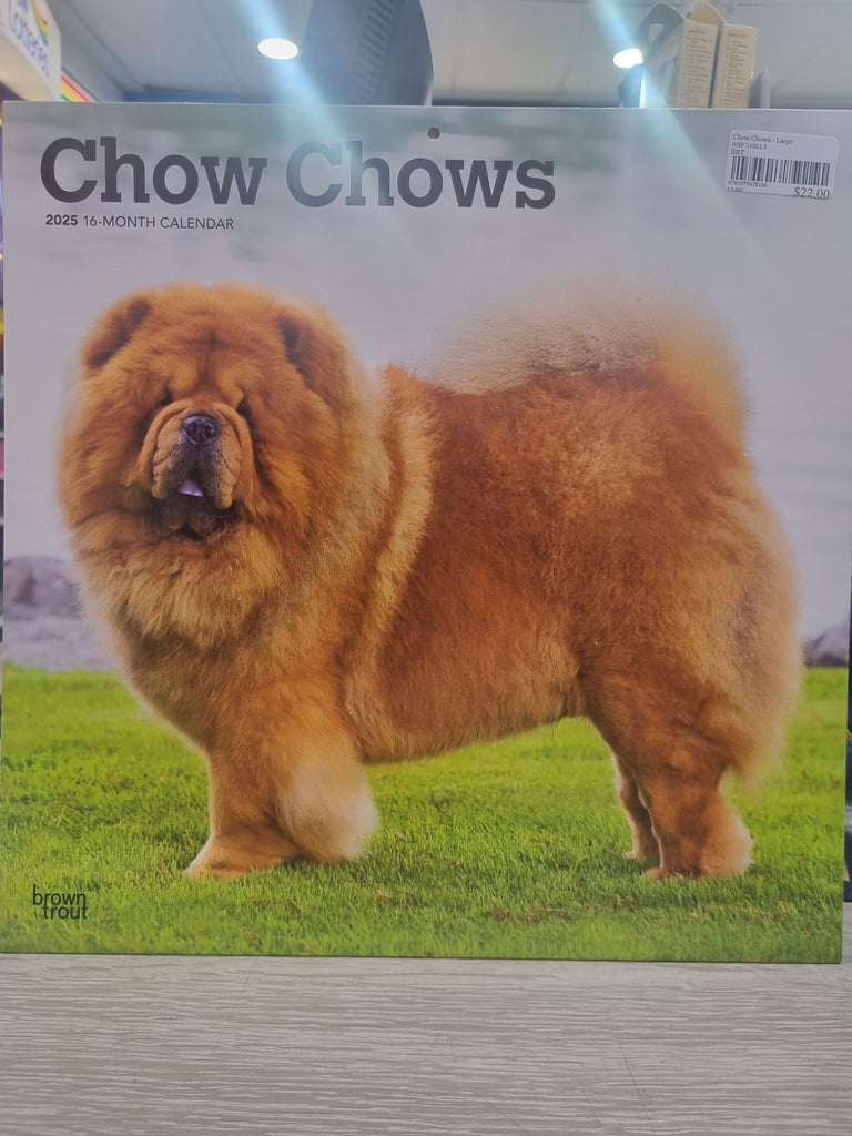 Chow Chows - Large 30x30cm - 2025 Calendar