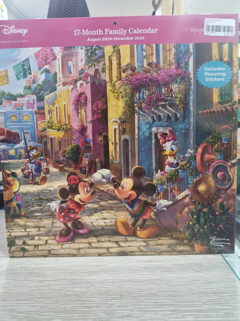 Disney Dreams Collection - Large 30x30cm - 2025 Calendar 2