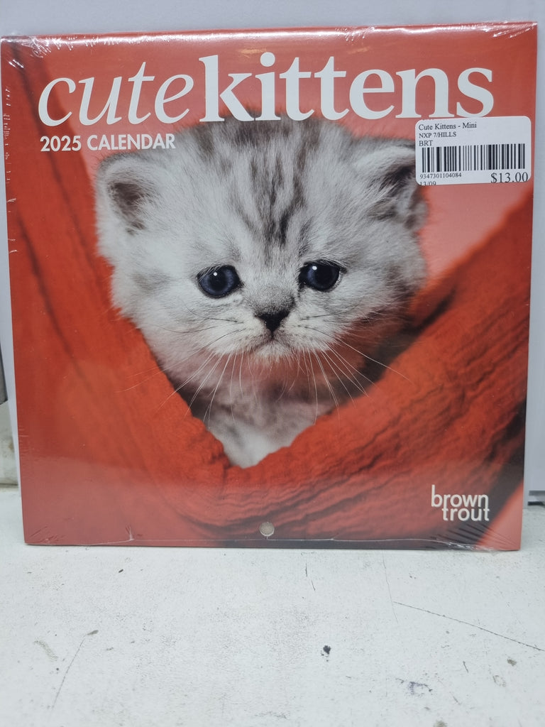 Cute Kittens - Mini 18x18cm - 2025 Calendar