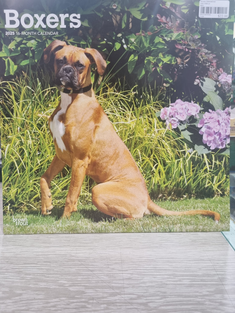 Boxers International Edition - Large 30x30cm - 2025 Calendar