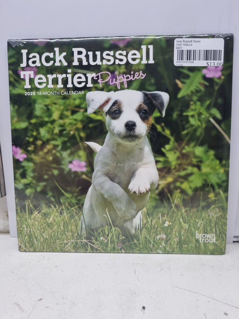 Jack Russell Terrier Puppies - Mini 18x18cm - 2025 Calendar