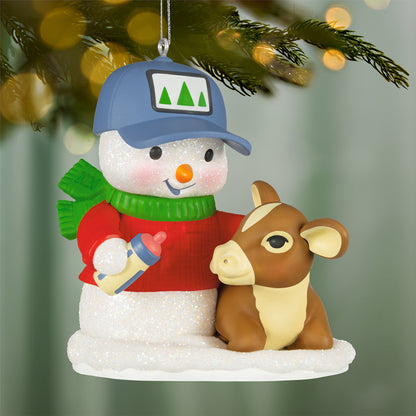 Snow Buddies, 29th in the Series